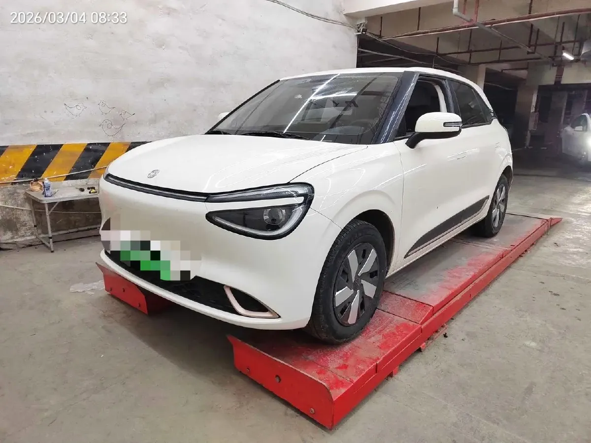 2024 DongFeng Nammi 01 BEV 42.3KWH,autocango,china used car exporter,china ev exporter,chinese used car exporter,chinese used ev exporter