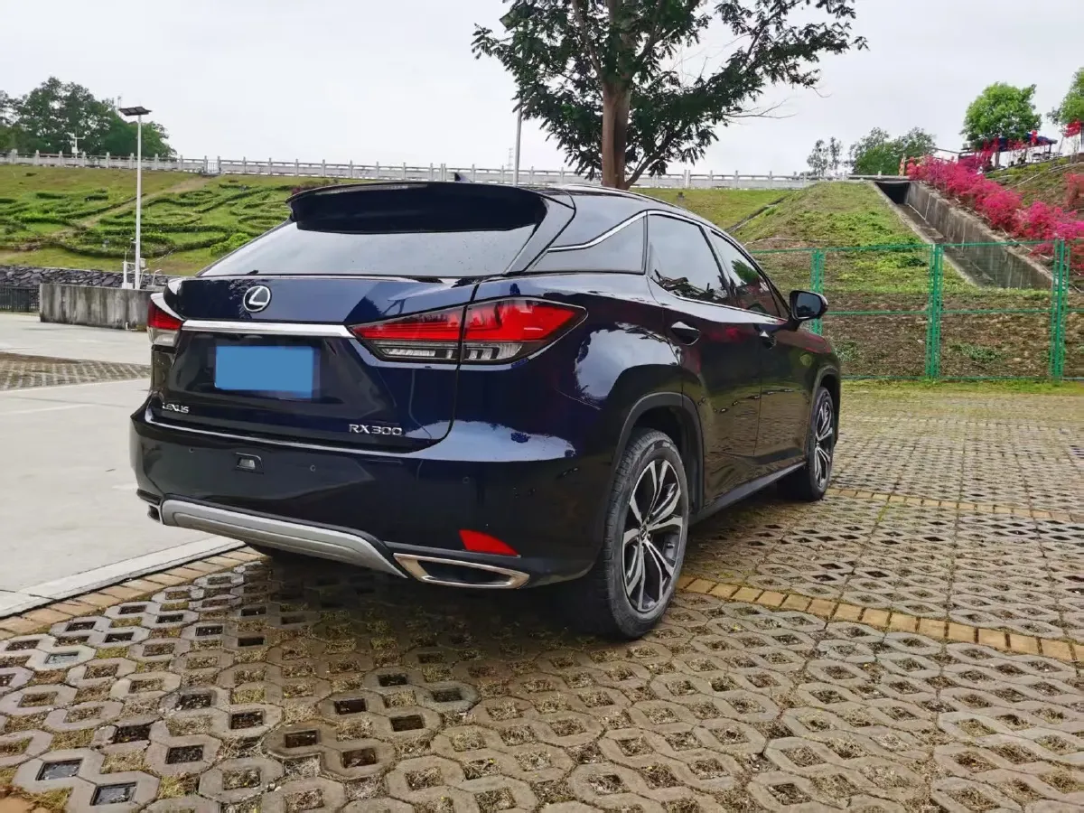2020 Lexus RX 2.0T 231HP L4 6AT,autocango,china used car exporter,china ev exporter,chinese used car exporter,chinese used ev exporter