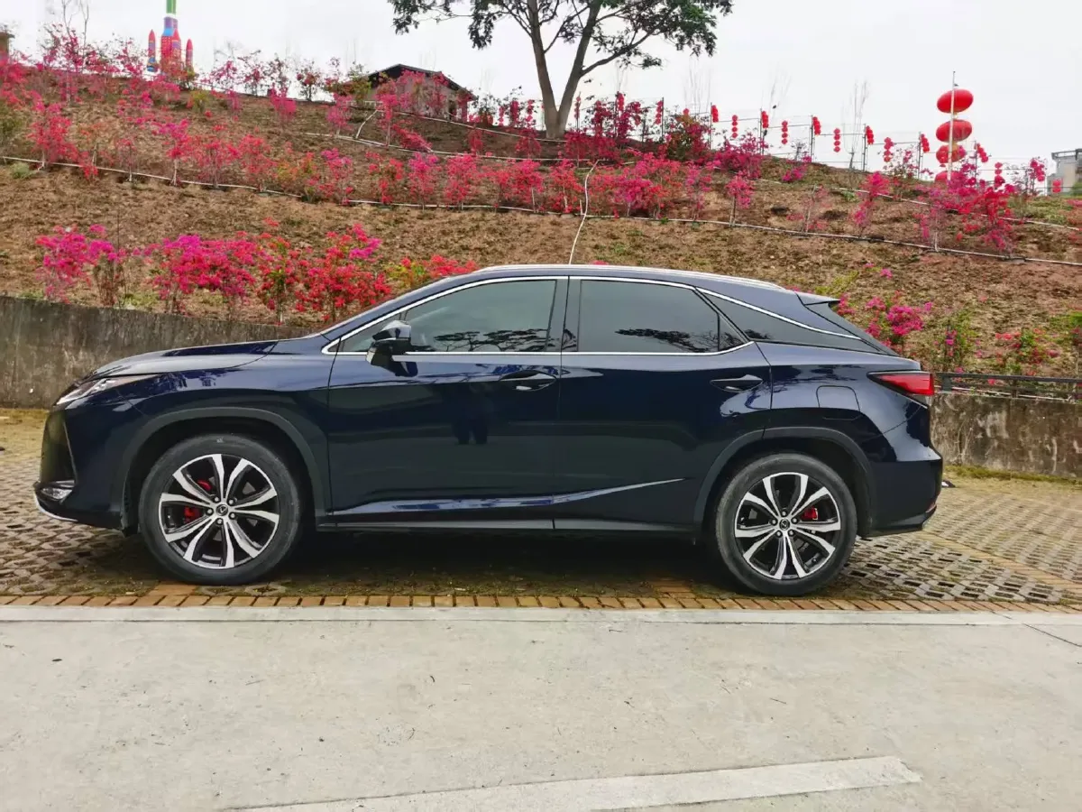 2020 Lexus RX 2.0T 231HP L4 6AT,autocango,china used car exporter,china ev exporter,chinese used car exporter,chinese used ev exporter