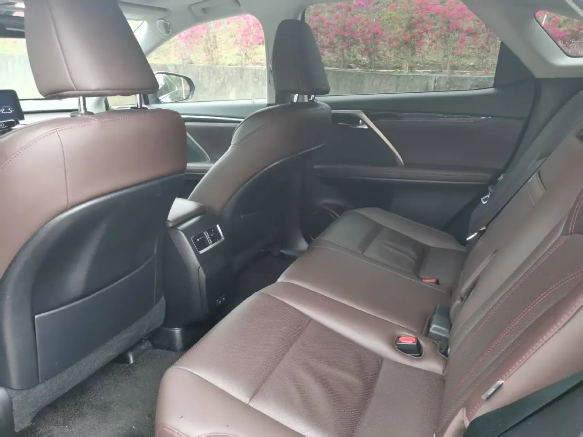 2020 Lexus RX 2.0T 231HP L4 6AT,autocango,china used car exporter,china ev exporter,chinese used car exporter,chinese used ev exporter