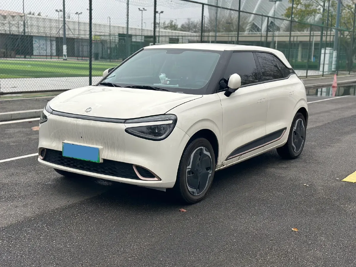 2024 DongFeng eπ 01 BEV 31.45KWH,autocango,china used car exporter,china ev exporter,chinese used car exporter,chinese used ev exporter