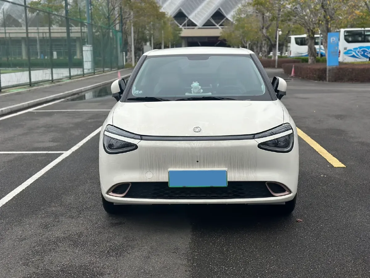 2024 DongFeng eπ 01 BEV 31.45KWH,autocango,china used car exporter,china ev exporter,chinese used car exporter,chinese used ev exporter