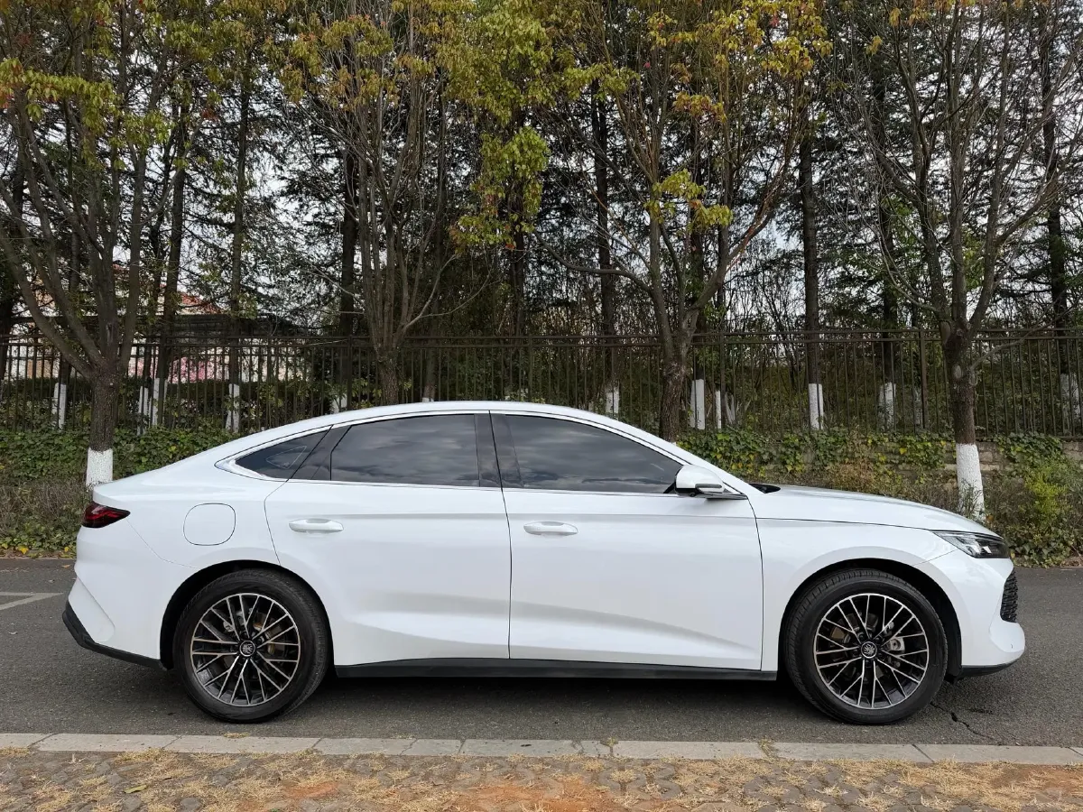 2024 BYD QinL 1.5L 101HP L4 E-CVT PHEV 15.87KWH,autocango,china used car exporter,china ev exporter,chinese used car exporter,chinese used ev exporter