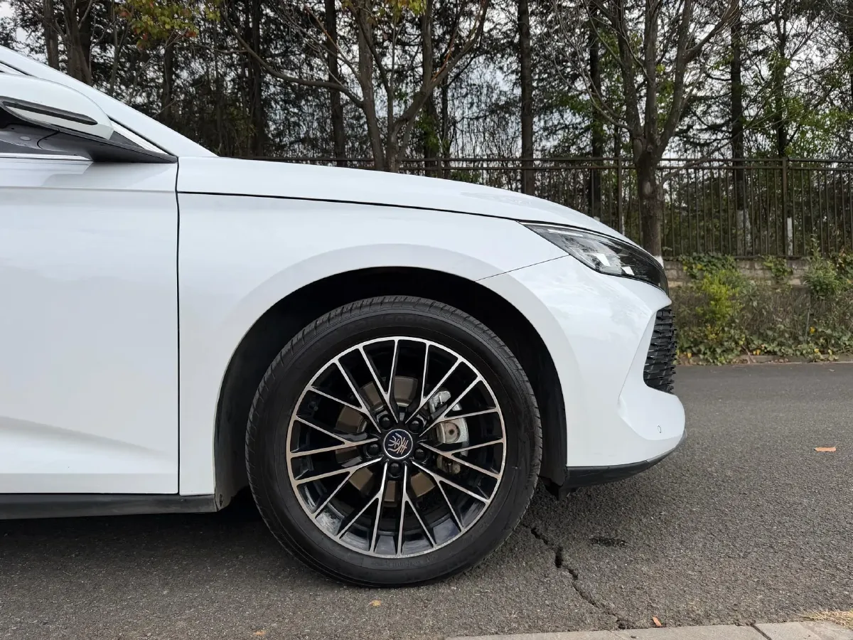 2024 BYD QinL 1.5L 101HP L4 E-CVT PHEV 15.87KWH,autocango,china used car exporter,china ev exporter,chinese used car exporter,chinese used ev exporter