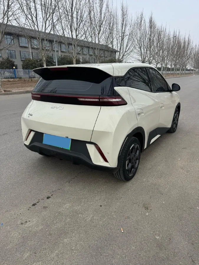 2024 BYD Seagull BEV 30.08KWH,autocango,china used car exporter,china ev exporter,chinese used car exporter,chinese used ev exporter