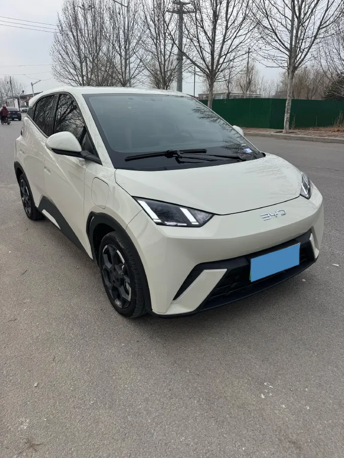 2024 BYD Seagull BEV 30.08KWH,autocango,china used car exporter,china ev exporter,chinese used car exporter,chinese used ev exporter