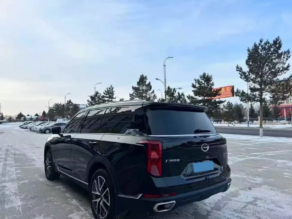 2024 GAC Trumpchi GS8 2.0T 252HP L4 8AT,autocango,china used car exporter,china ev exporter,chinese used car exporter,chinese used ev exporter