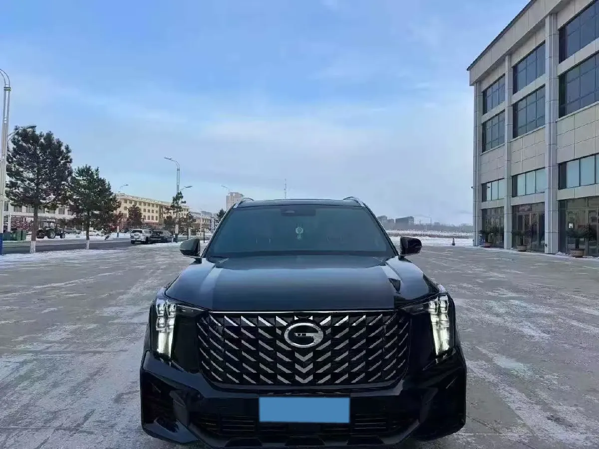 2024 GAC Trumpchi GS8 2.0T 252HP L4 8AT,autocango,china used car exporter,china ev exporter,chinese used car exporter,chinese used ev exporter