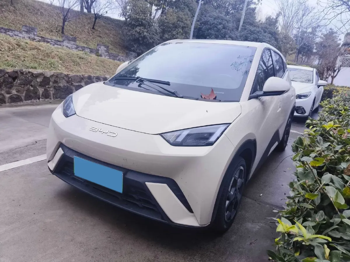 2023 BYD Seagull BEV 30.08KWH,autocango,china used car exporter,china ev exporter,chinese used car exporter,chinese used ev exporter