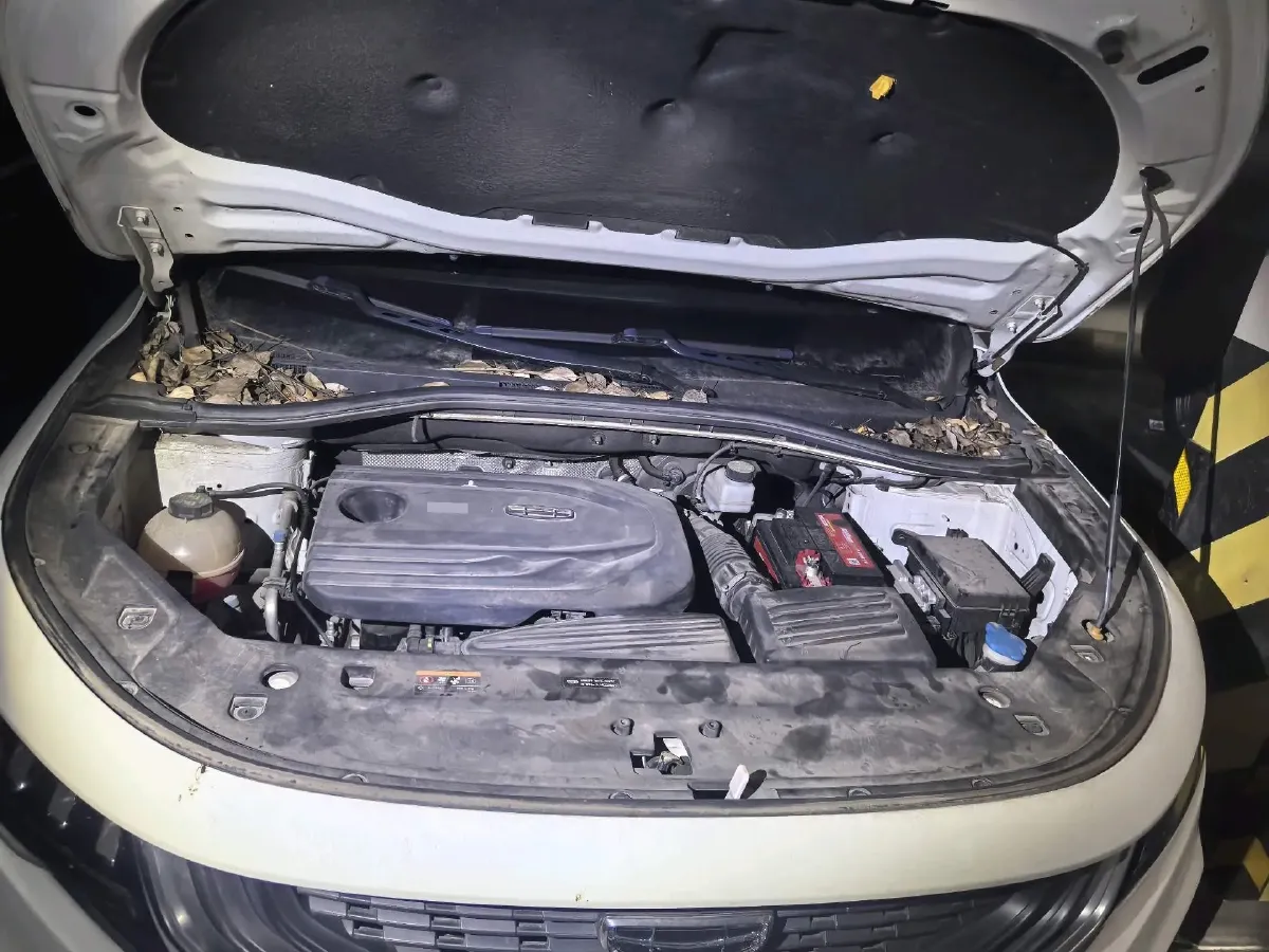 2020 Geely Okavango 1.8T 184HP L4 7DCT,autocango,china used car exporter,china ev exporter,chinese used car exporter,chinese used ev exporter