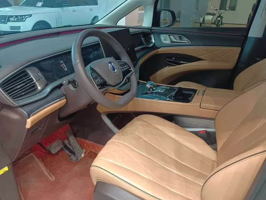 2024 Denza D9 1.5T 139HP L4 E-CVT PHEV 40KWH,autocango,china used car exporter,china ev exporter,chinese used car exporter,chinese used ev exporter