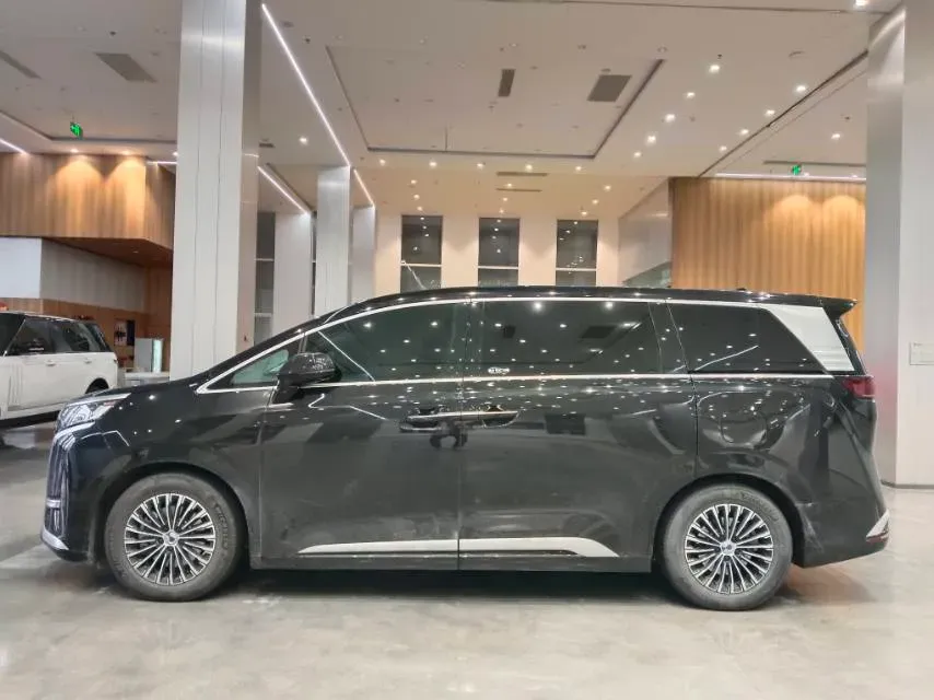 2024 Denza D9 1.5T 139HP L4 E-CVT PHEV 40KWH,autocango,china used car exporter,china ev exporter,chinese used car exporter,chinese used ev exporter