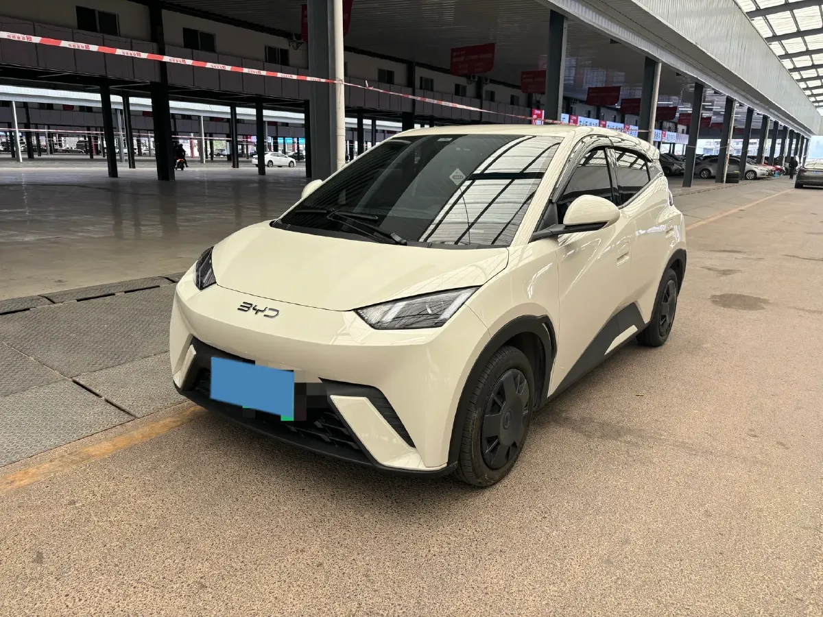 2025 BYD Seagull BEV 30.08KWH,autocango,china used car exporter,china ev exporter,chinese used car exporter,chinese used ev exporter