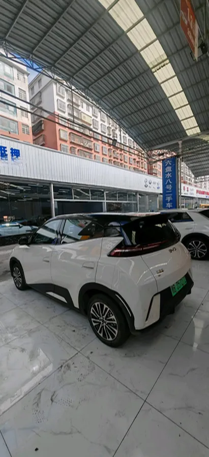 2024 BYD Seagull BEV 30.08KWH,autocango,china used car exporter,china ev exporter,chinese used car exporter,chinese used ev exporter