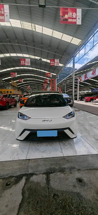 2024 BYD Seagull BEV 30.08KWH,autocango,china used car exporter,china ev exporter,chinese used car exporter,chinese used ev exporter