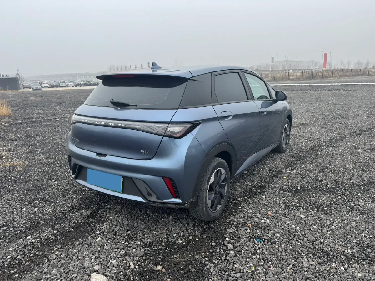 2024 BYD Dolphin BEV 44.928KWH,autocango,china used car exporter,china ev exporter,chinese used car exporter,chinese used ev exporter