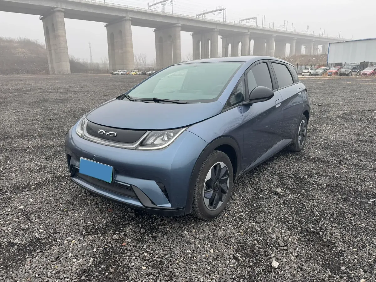 2024 BYD Dolphin BEV 44.928KWH,autocango,china used car exporter,china ev exporter,chinese used car exporter,chinese used ev exporter