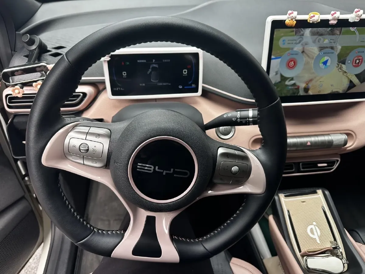 2023 BYD Seagull BEV 30.08KWH,autocango,china used car exporter,china ev exporter,chinese used car exporter,chinese used ev exporter