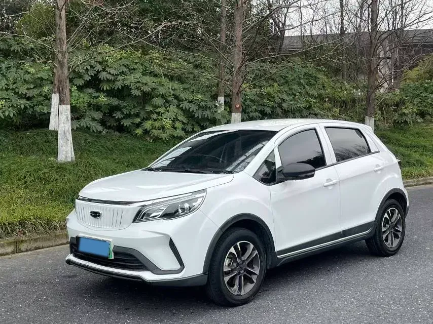 2021 WuLing Nano EV BEV 28KWH,autocango,china used car exporter,china ev exporter,chinese used car exporter,chinese used ev exporter