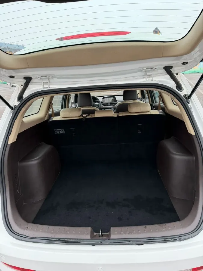 2017 BaoJun 310W 1.5L 112HP L4 6MT,autocango,china used car exporter,china ev exporter,chinese used car exporter,chinese used ev exporter