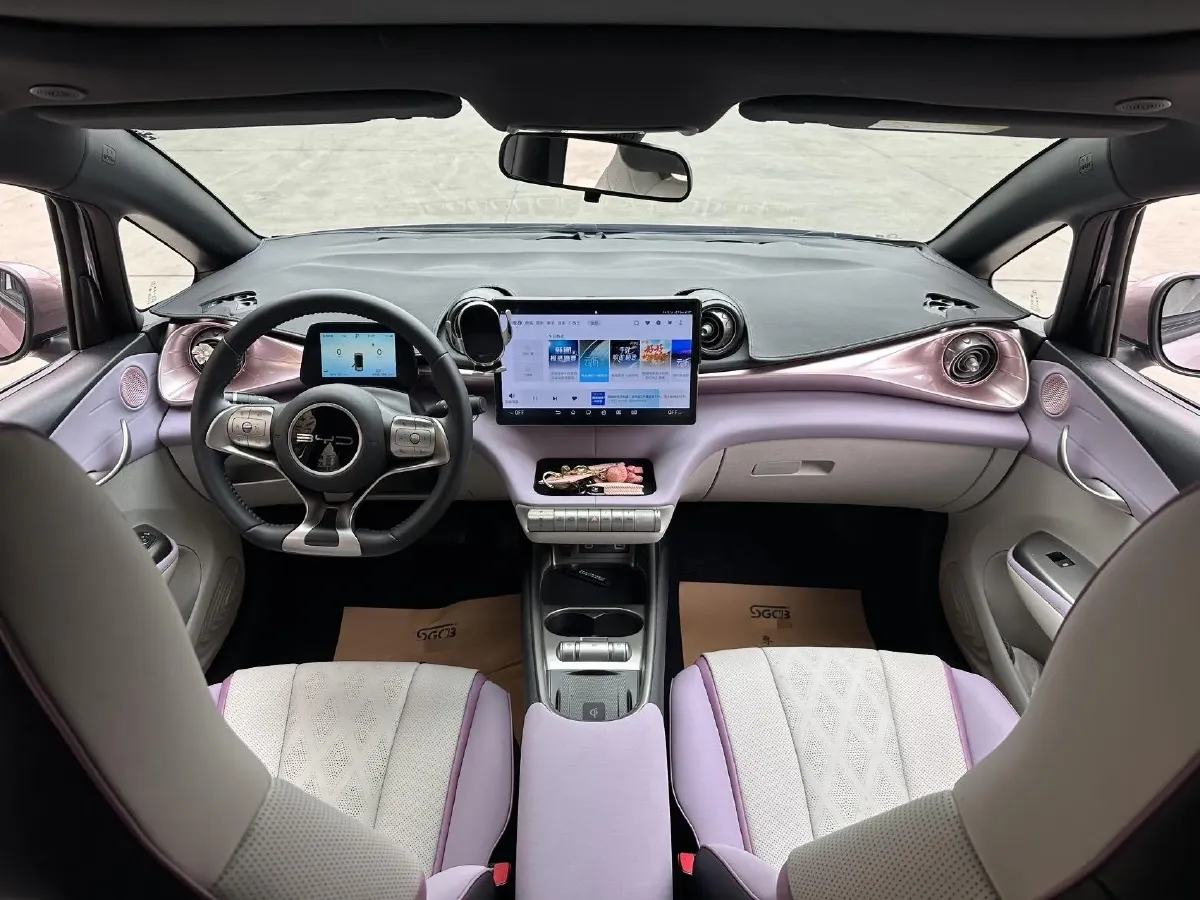 2024 BYD Dolphin BEV 44.928KWH,autocango,china used car exporter,china ev exporter,chinese used car exporter,chinese used ev exporter