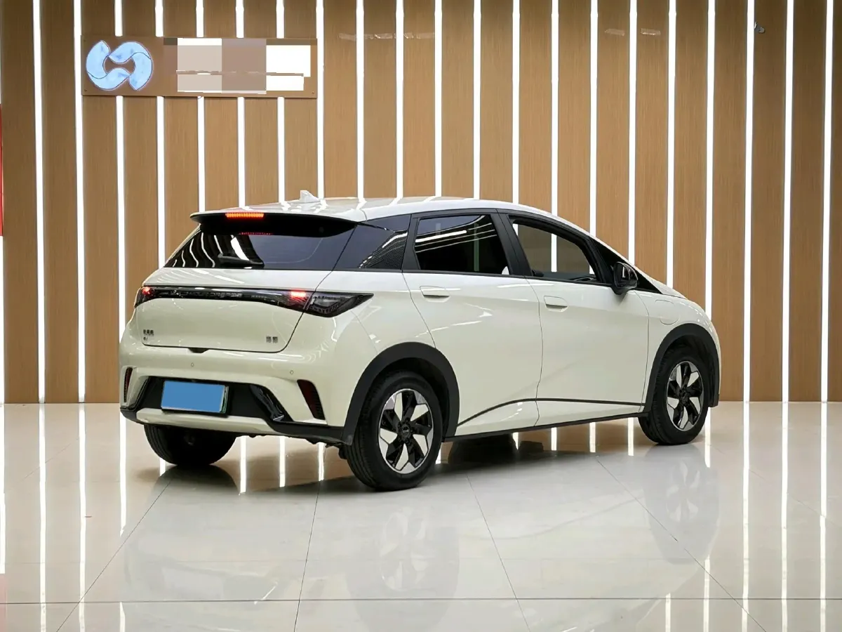 2025 BYD Dolphin BEV 44.928KWH,autocango,china used car exporter,china ev exporter,chinese used car exporter,chinese used ev exporter
