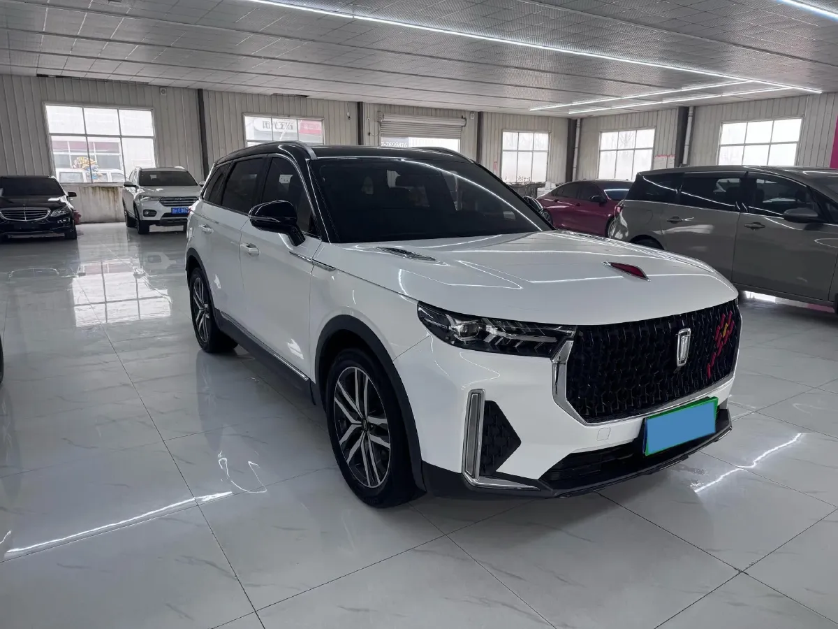 2020 Bestune T99 2.0T 224HP L4 6AT,autocango,china used car exporter,china ev exporter,chinese used car exporter,chinese used ev exporter