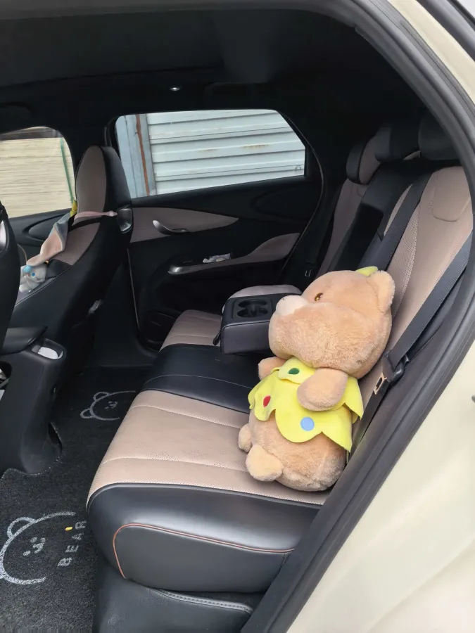 2023 BYD Dolphin BEV 44.928KWH,autocango,china used car exporter,china ev exporter,chinese used car exporter,chinese used ev exporter