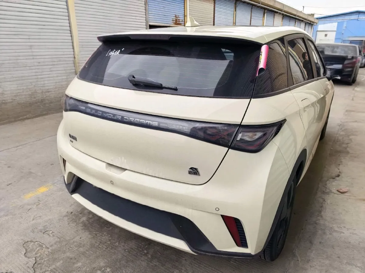 2023 BYD Dolphin BEV 44.928KWH,autocango,china used car exporter,china ev exporter,chinese used car exporter,chinese used ev exporter