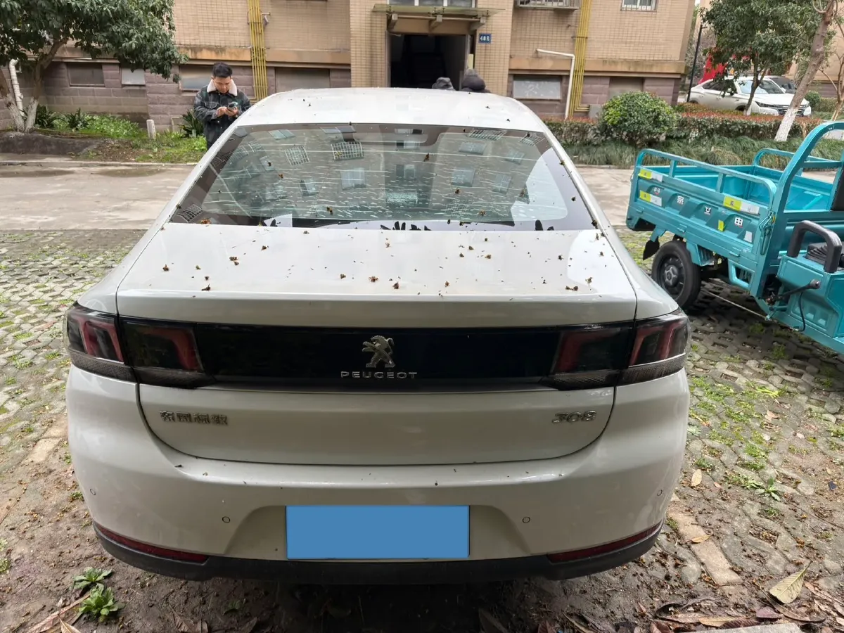 2018 Peugeot 308 1.6L 117HP L4 6AT,autocango,china used car exporter,china ev exporter,chinese used car exporter,chinese used ev exporter