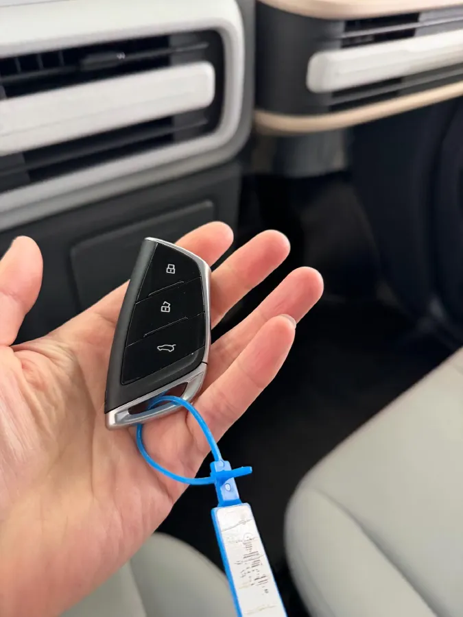 2025 MAXUS DaNa V1 BEV,autocango,china used car exporter,china ev exporter,chinese used car exporter,chinese used ev exporter