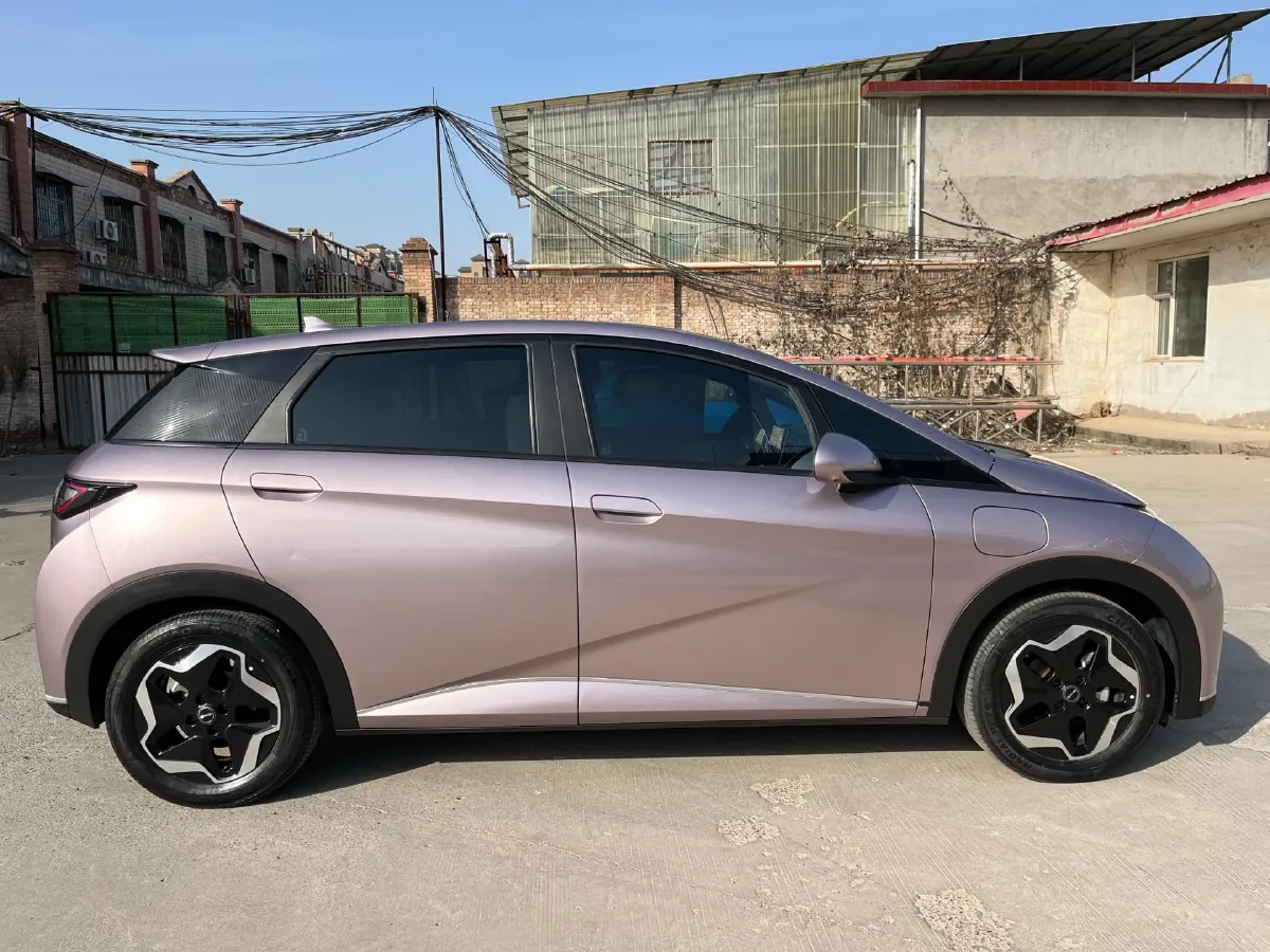 2021 BYD Yuan Pro BEV 50.1KWH,autocango,china used car exporter,china ev exporter,chinese used car exporter,chinese used ev exporter