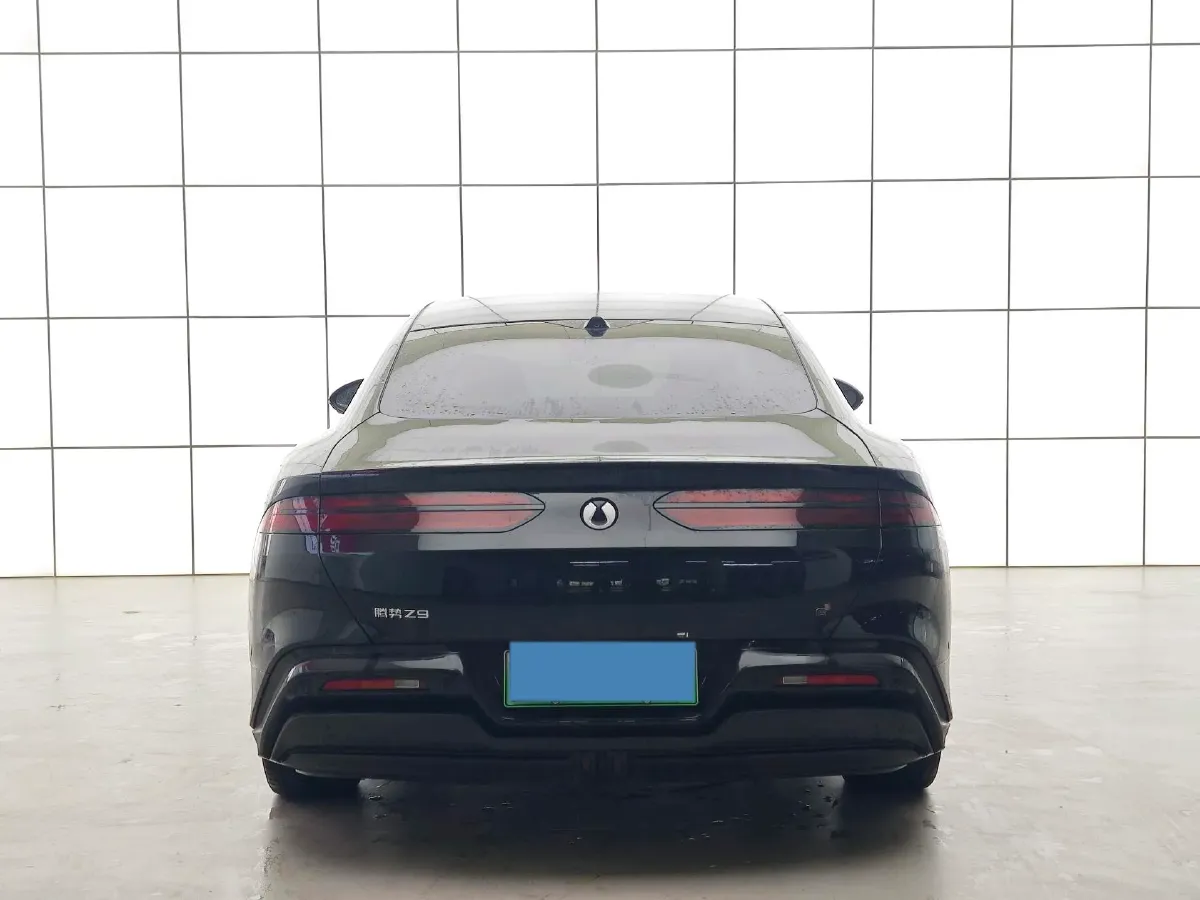 2024 Denza DenzaZ9 2.0T 207HP L4 E-CVT PHEV 38.5KWH,autocango,china used car exporter,china ev exporter,chinese used car exporter,chinese used ev exporter