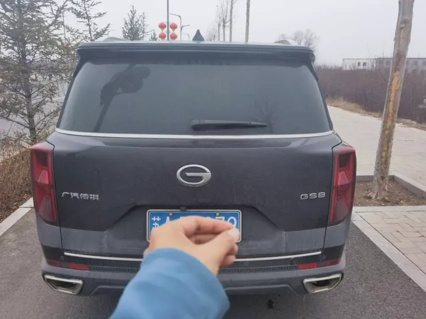 2024 GAC Trumpchi GS8 2.0T 252HP L4 8AT,autocango,china used car exporter,china ev exporter,chinese used car exporter,chinese used ev exporter