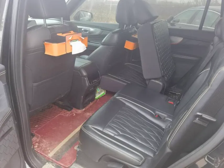 2024 GAC Trumpchi GS8 2.0T 252HP L4 8AT,autocango,china used car exporter,china ev exporter,chinese used car exporter,chinese used ev exporter