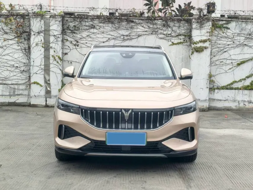 2021 Voyah FREE Range Extended 109HP REEV 33KWH,autocango,china used car exporter,china ev exporter,chinese used car exporter,chinese used ev exporter