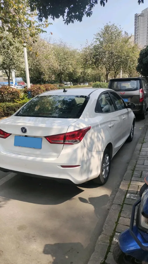 2019 ChangAn Alsvin 1.5L 107HP L4 5DCT,autocango,china used car exporter,china ev exporter,chinese used car exporter,chinese used ev exporter