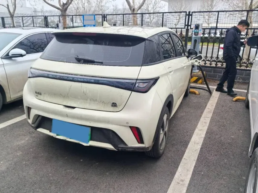 2023 BYD Dolphin BEV 44.928KWH,autocango,china used car exporter,china ev exporter,chinese used car exporter,chinese used ev exporter