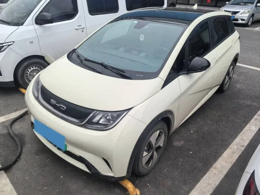 2023 BYD Dolphin BEV 44.928KWH,autocango,china used car exporter,china ev exporter,chinese used car exporter,chinese used ev exporter