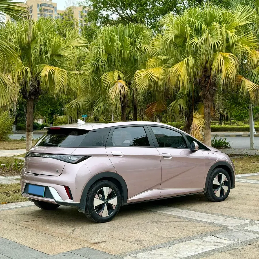 2023 BYD Dolphin BEV 44.928KWH,autocango,china used car exporter,china ev exporter,chinese used car exporter,chinese used ev exporter