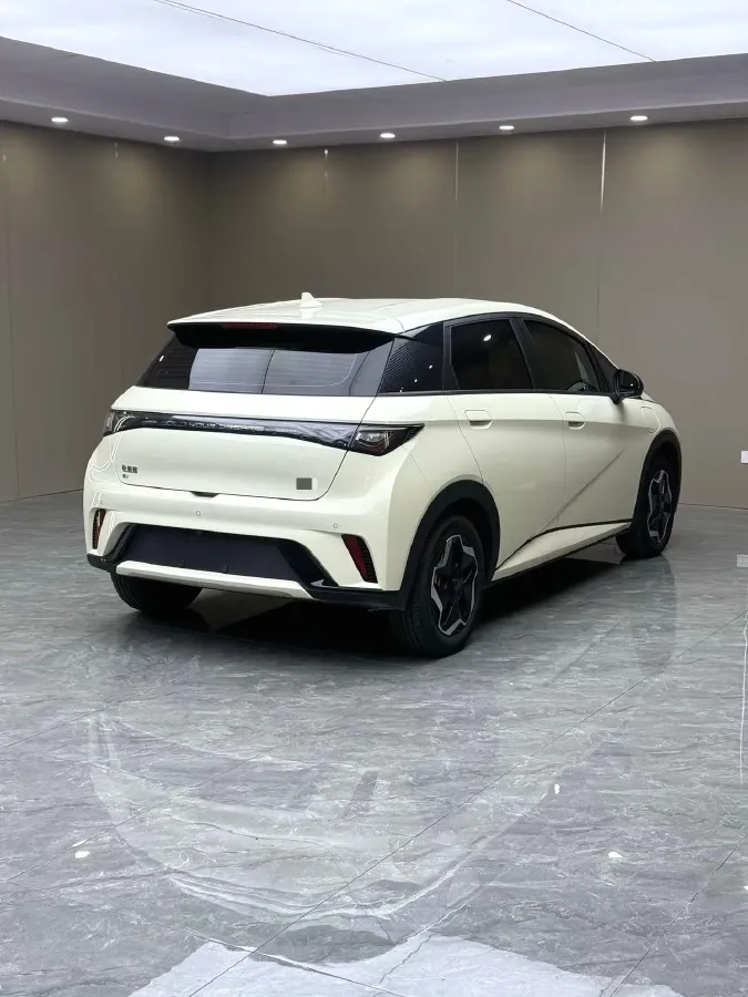 2024 BYD Dolphin BEV 44.928KWH,autocango,china used car exporter,china ev exporter,chinese used car exporter,chinese used ev exporter