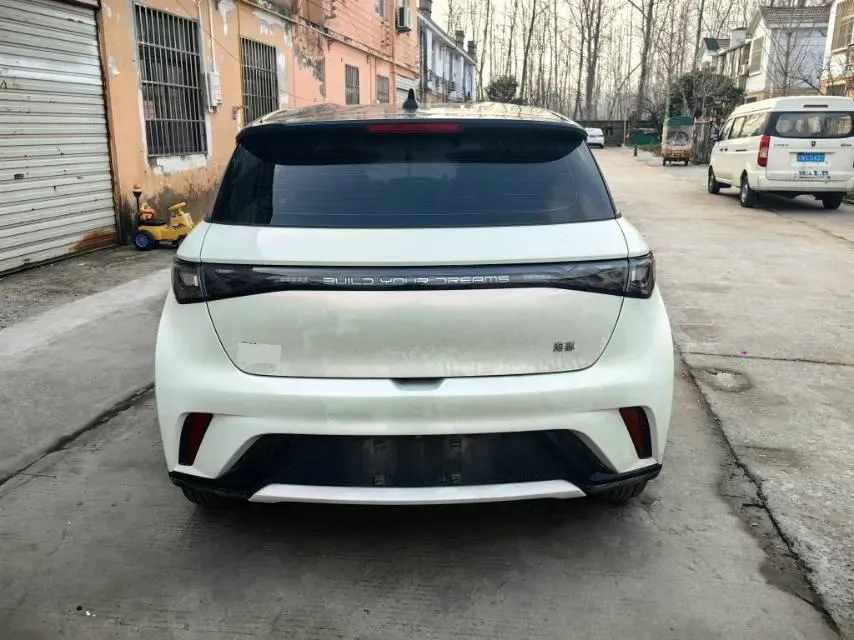 2025 BYD Dolphin BEV 44.928KWH,autocango,china used car exporter,china ev exporter,chinese used car exporter,chinese used ev exporter