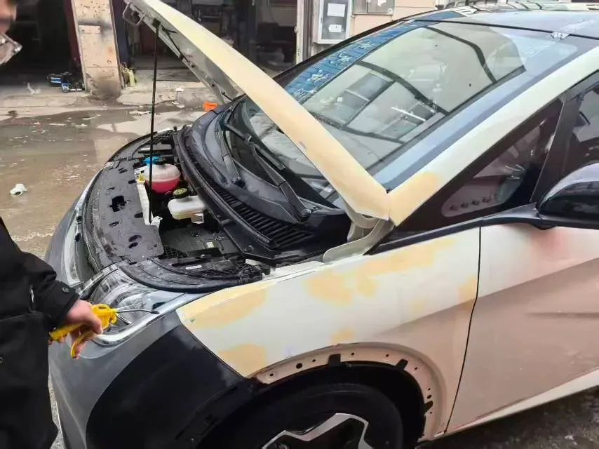 2025 BYD Dolphin BEV 44.928KWH,autocango,china used car exporter,china ev exporter,chinese used car exporter,chinese used ev exporter