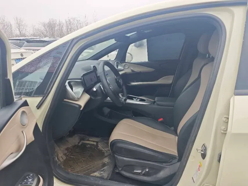 2025 BYD Dolphin BEV 45.12KWH,autocango,china used car exporter,china ev exporter,chinese used car exporter,chinese used ev exporter