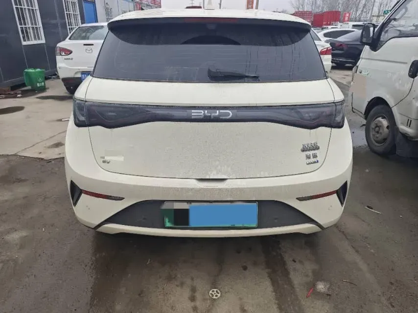 2025 BYD Dolphin BEV 45.12KWH,autocango,china used car exporter,china ev exporter,chinese used car exporter,chinese used ev exporter