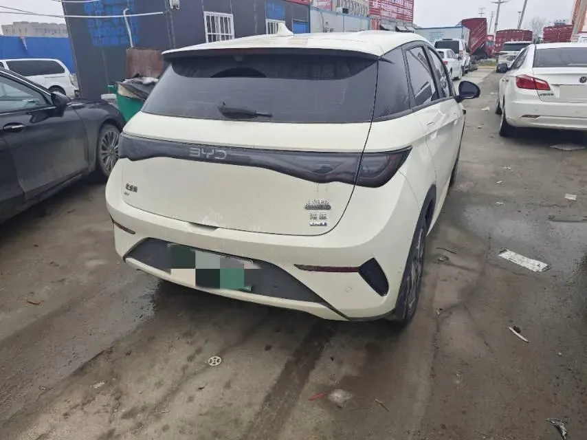 2025 BYD Dolphin BEV 45.12KWH,autocango,china used car exporter,china ev exporter,chinese used car exporter,chinese used ev exporter