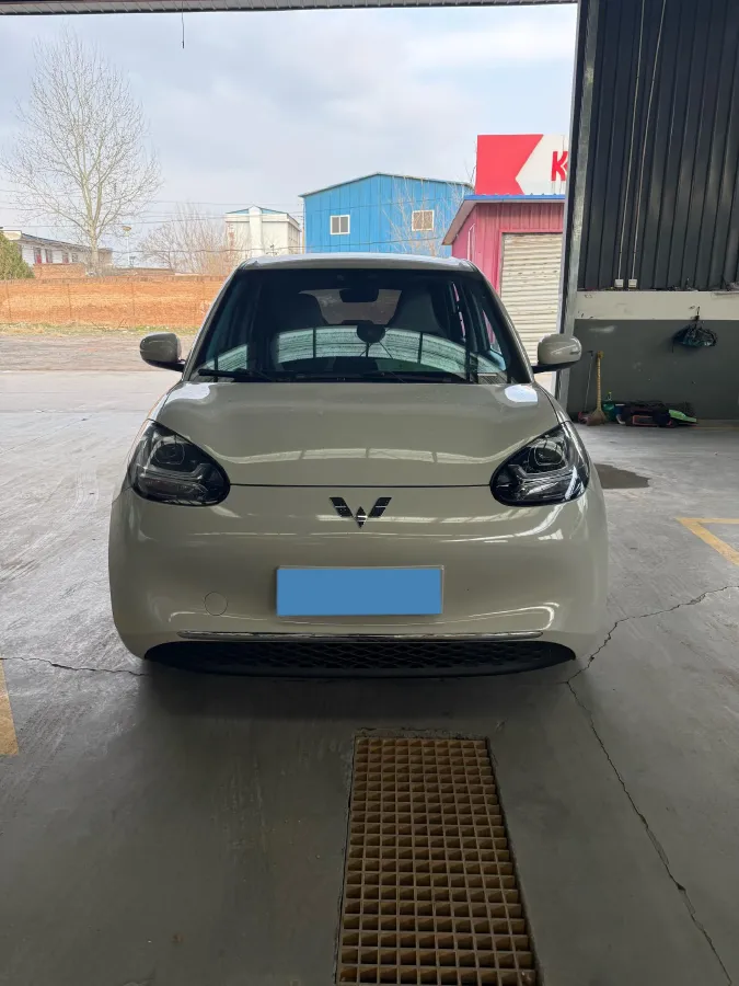 2023 WuLing BinGuo BEV 31.9KWH,autocango,china used car exporter,china ev exporter,chinese used car exporter,chinese used ev exporter