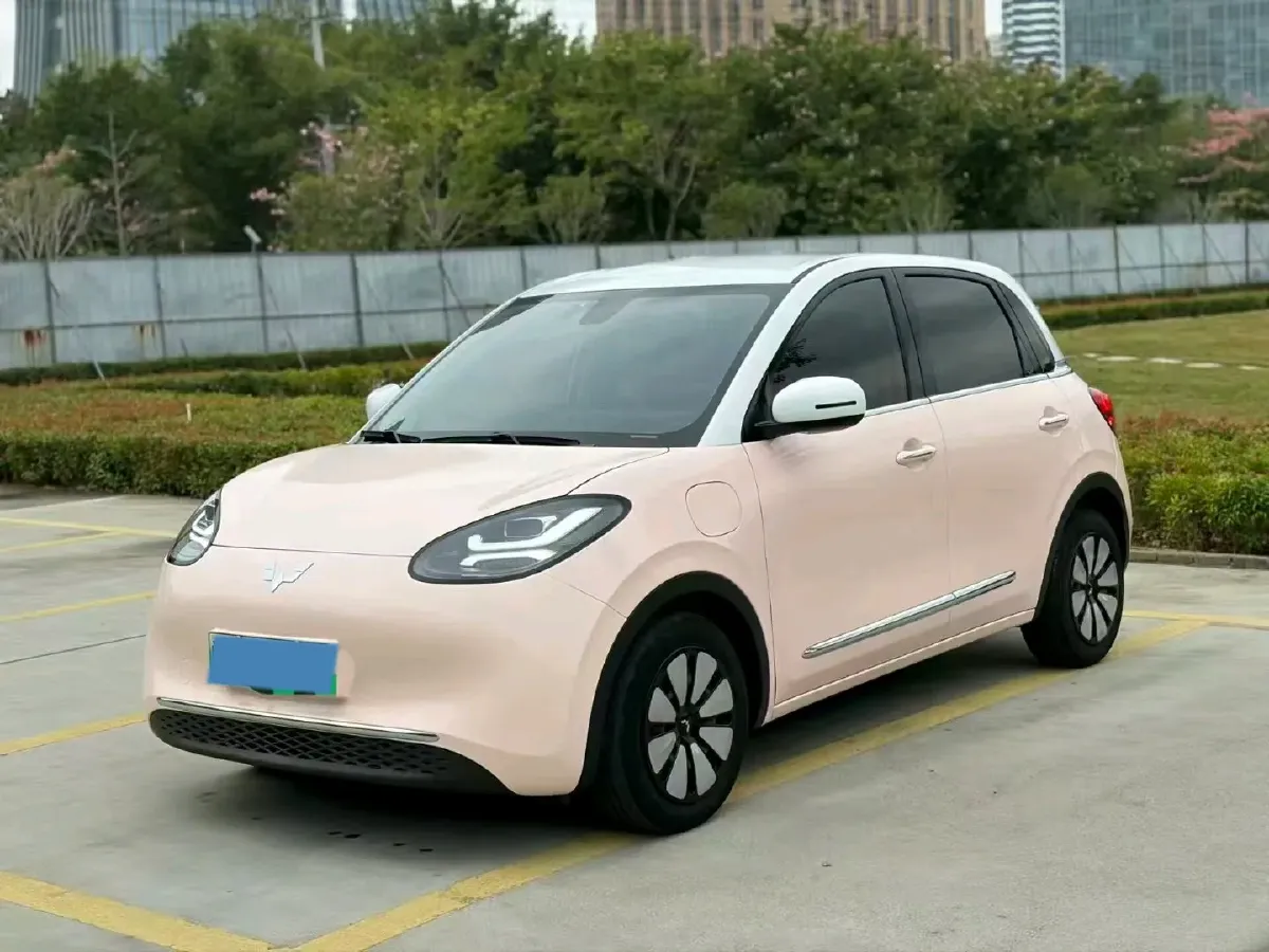 2023 WuLing BinGuo BEV 37.9KWH,autocango,china used car exporter,china ev exporter,chinese used car exporter,chinese used ev exporter