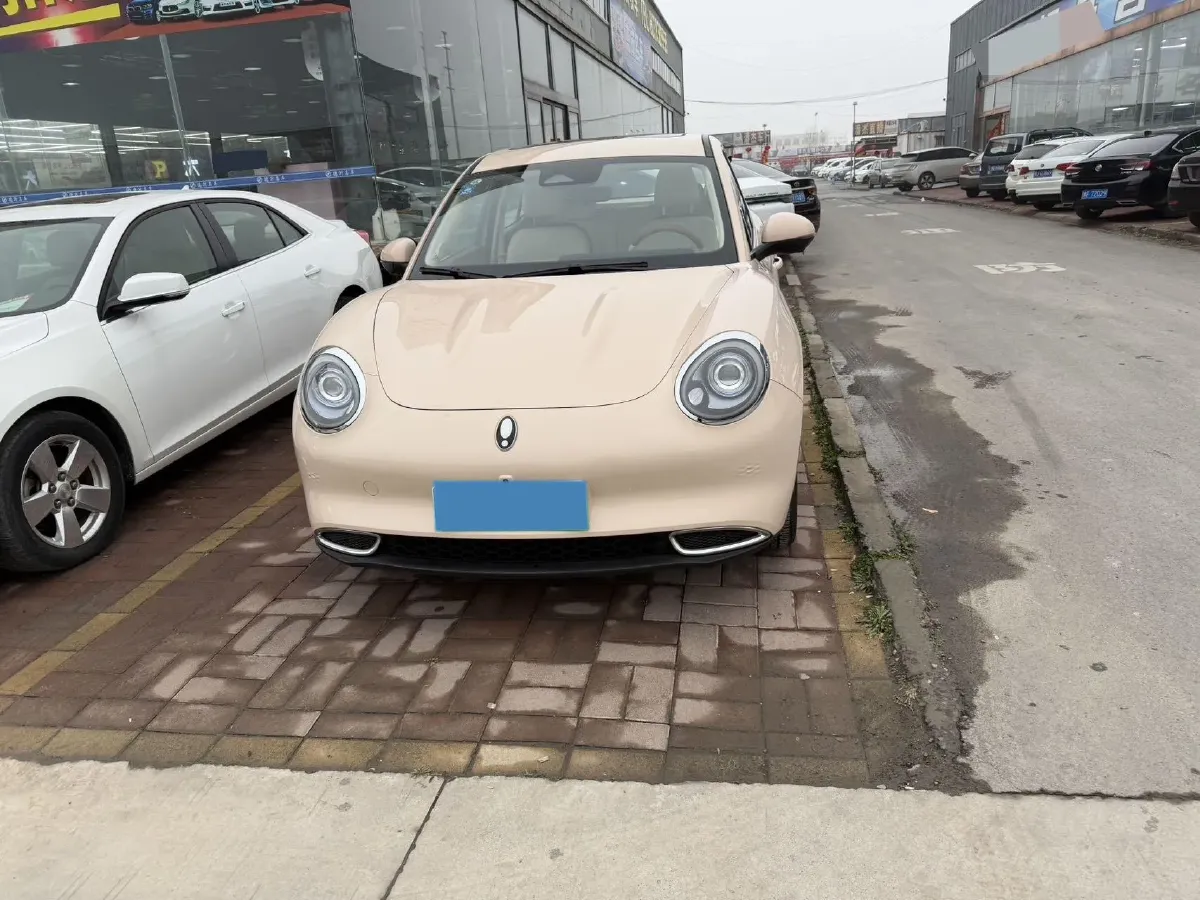 2021 Ora FunkyCat BEV 47.8KWH,autocango,china used car exporter,china ev exporter,chinese used car exporter,chinese used ev exporter