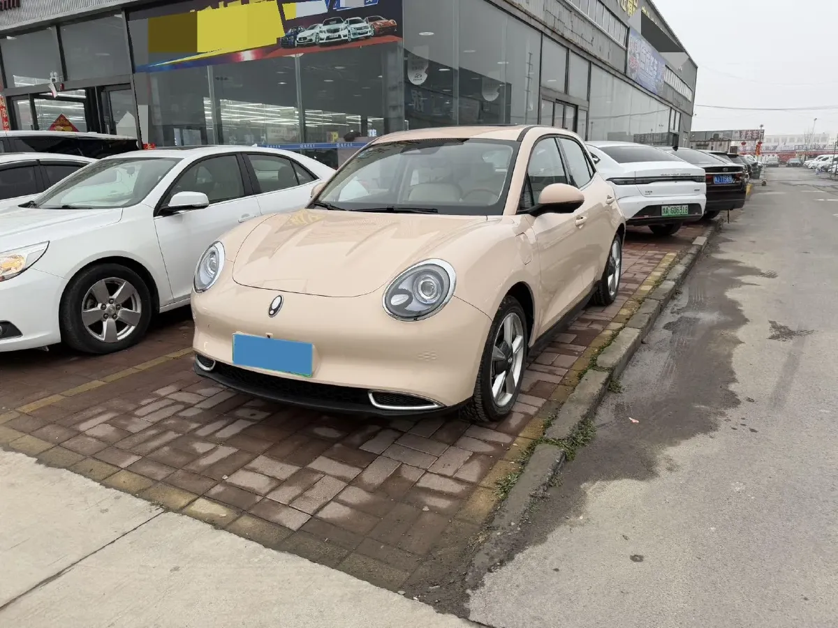 2021 Ora FunkyCat BEV 47.8KWH,autocango,china used car exporter,china ev exporter,chinese used car exporter,chinese used ev exporter